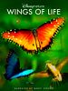 Poster der Wings of Life