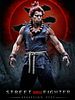 Poster der Street Fighter: Assassin's Fist