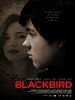 Poster der Blackbird