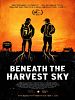 Poster der Beneath the Harvest Sky