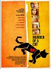 Poster der Murder of a Cat