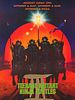 Poster der Turtles III