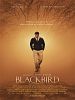 Poster der Blackbird