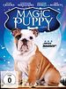 Poster der Magic Puppy