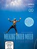 Poster der Walking Under Water