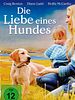 Poster der Die Liebe eines Hundes