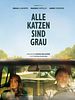 Poster der Alle Katzen sind grau