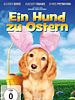Poster der Ein Hund zu Ostern