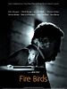 Poster der Fire Birds