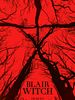 Poster der Blair Witch