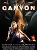 Poster der The Canyon