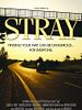 Poster der Stray