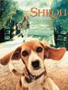 Poster der Shiloh