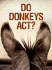 Poster der Do Donkeys Act?