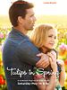 Poster der Tulips in Spring