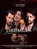 Poster der Örümcek