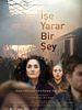 Poster der İşe Yarar Bir Şey