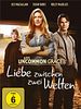 Poster der Liebe zwischen zwei Welten - An Uncommon Grace