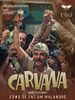 Poster der Carvana