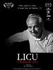Poster der Licu, A Romanian Story
