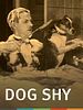 Poster der Dog Shy