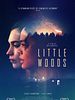 Poster der Little Woods