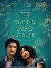 Poster der The Sun Is Also A Star