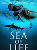 Poster der Sea of Life