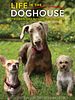 Poster der Life in the Doghouse