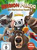 Poster der Mission Panda - Ein tierisches Team