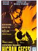 Poster der Hicran Gecesi