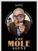 Poster der Der Maulwurf – Ein Detektiv im Altersheim