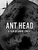 Poster der Ant Head