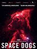 Poster der Space Dogs