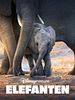 Poster der Elefanten