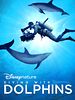 Poster der Diving with Dolphins