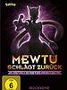 Poster der Pokémon: Mewtu schlägt zurück – Evolution