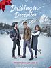 Poster der Dashing In December