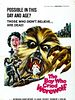 Poster der Ein Junge schrie Werwolf