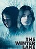 Poster der The Winter Lake