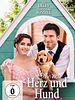 Poster der Liebe mit Herz und Hund