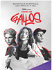 Poster der Días de gallos
