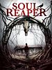 Poster der Soul Reaper