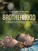 Poster der Brotherhood