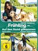 Poster der Frühling - Auf den Hund gekommen