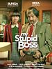 Poster der My Stupid Boss