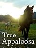 Poster der True Appaloosa
