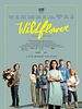 Poster der Wildflower