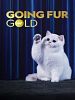 Poster der Auf alle Felle Gold!