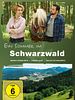 Poster der Ein Sommer im Schwarzwald